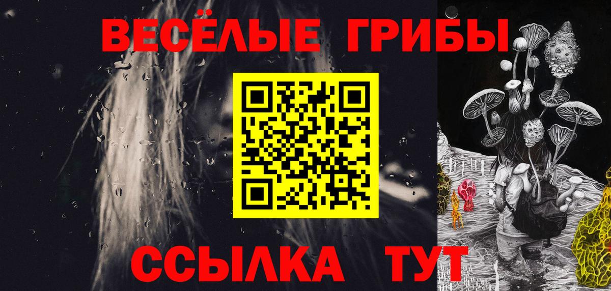 Псилоцибиновые грибы GOLDEN TEACHER Брянск