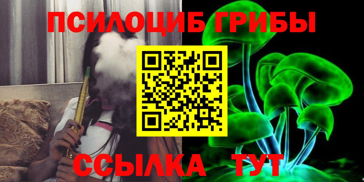 где продают   Вход с VPN  Брянск  Псилоцибиновые грибы Magic Shrooms 
